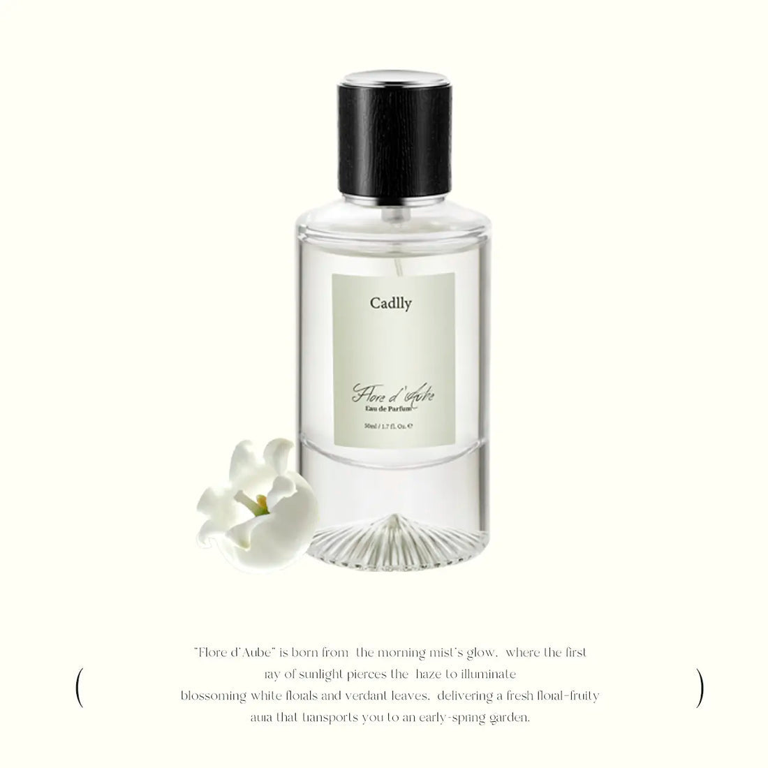 Insights into Bergamota Perfume’s Appeal for Women’s Spring and Summer Scents