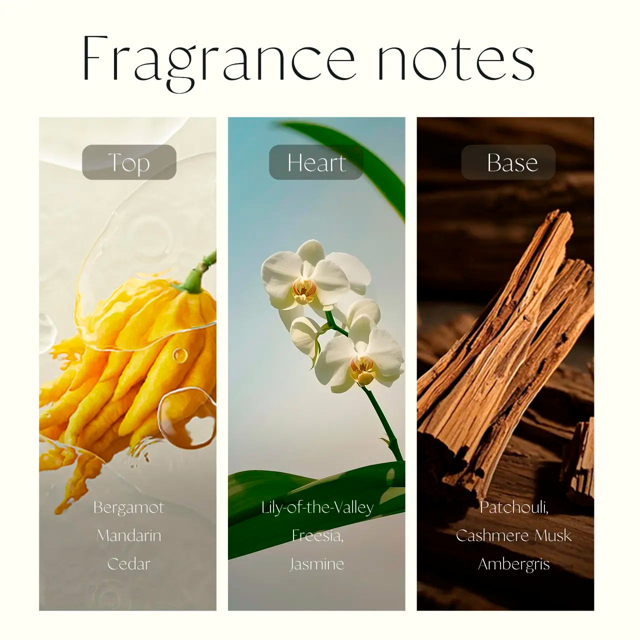 Flore d'Aube by Cadlly. Fresh floral perfume for women with bergamot, freesia, and musk. Perfect for spring and summer, lasting up to 8 hours on skin.