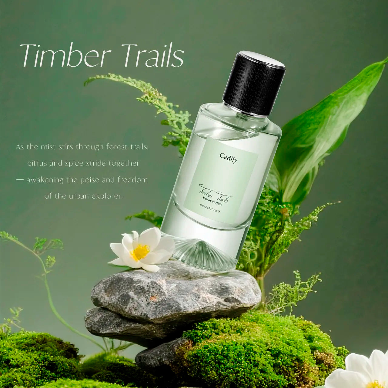 Timber Trails perfume for man by Cadlly. Woody perfume for men with grapefruit, pepper, and cedarwood. Long-lasting scent ideal for cool seasons and evening wear.