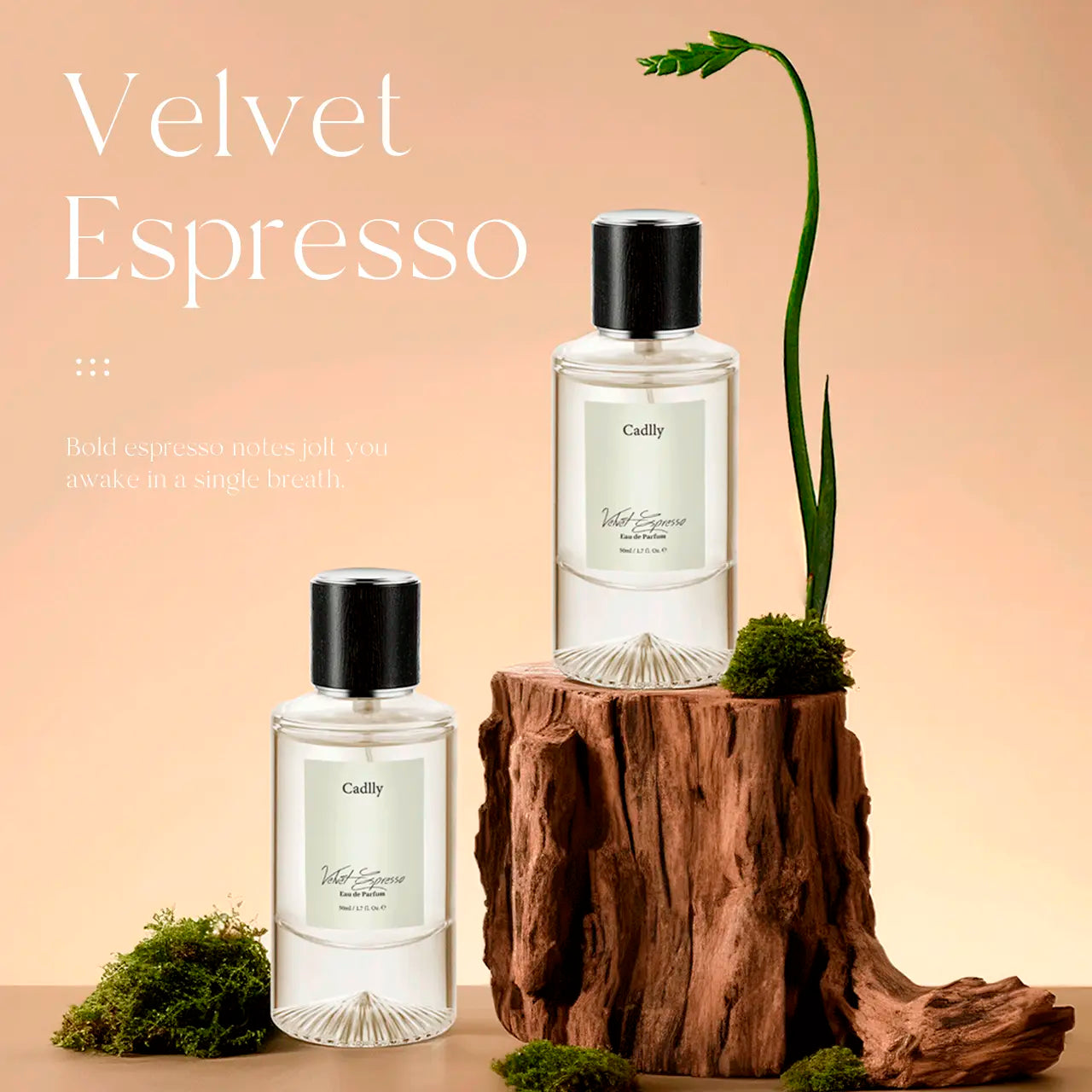 Velvet Espresso perfume by Cadlly. Coffee perfume for women with oud, cocoa, and vanilla amber. Warm and lasting scent, perfect for winter nights and romantic dates.
